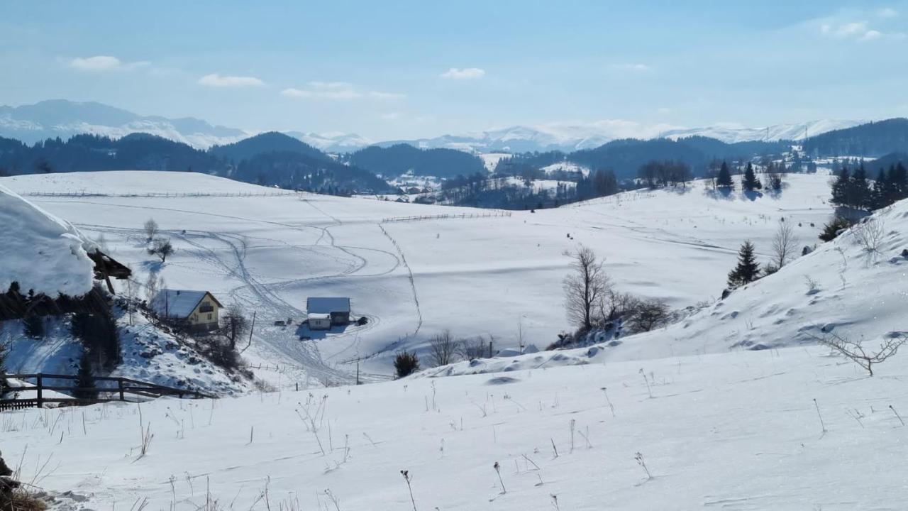 Pensiunea Crai Nou Şirnea Dış mekan fotoğraf