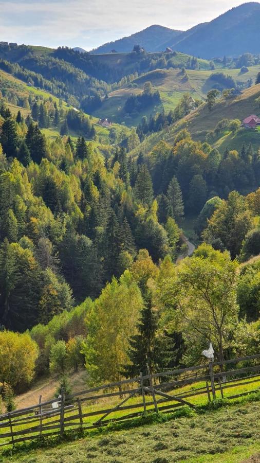 Pensiunea Crai Nou Şirnea Dış mekan fotoğraf