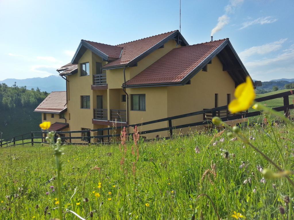 Pensiunea Crai Nou Şirnea Dış mekan fotoğraf